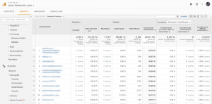 Screenshot Google Analytics