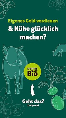 Denns Lehrlingskampagne "Kühe"