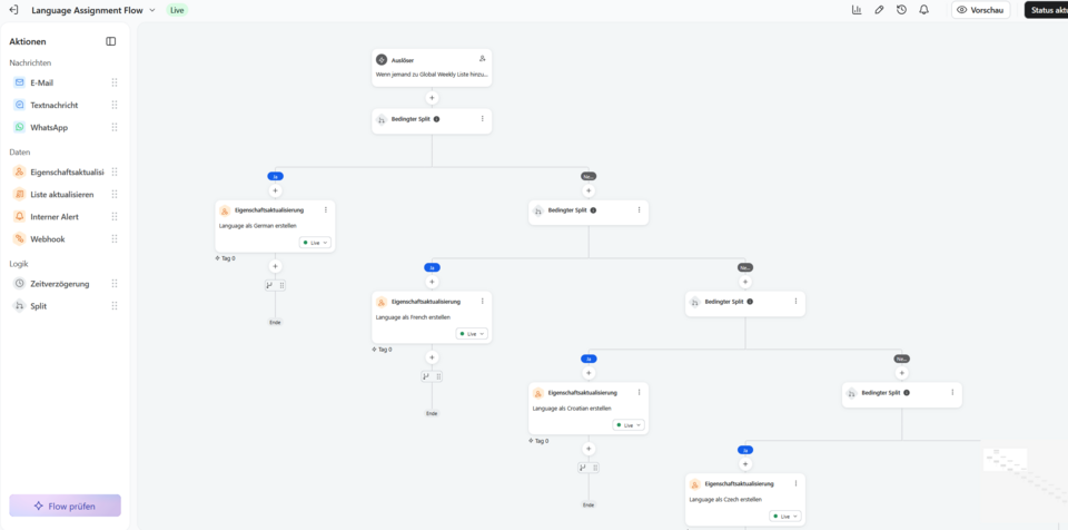 Screenshot Klaviyo: Flow zur Sprachzuordnung bei Aufnahme in eine Mailingliste.