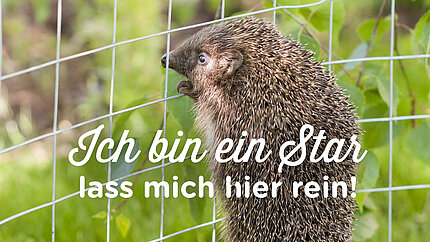 Natur im Garten Referenz