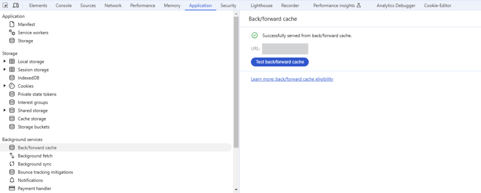 Test auf Backward/Forward Cache in Chrome Developer Tools