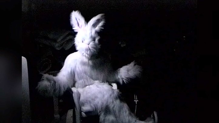 Der Osterhase ist gar nicht damit einverstanden, dass wir immer nur zu Weihnachten feiern