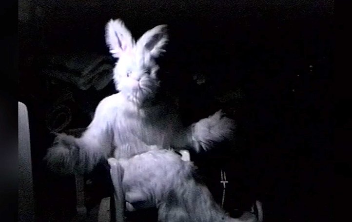 Der Osterhase ist gar nicht damit einverstanden, dass wir immer nur zu Weihnachten feiern