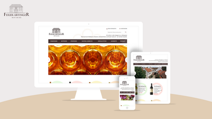 Feiler-Artinger Weshop Webdesign