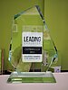 Leading Employers Award