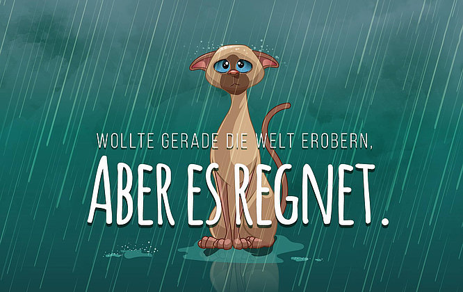 aber es regnet social media post