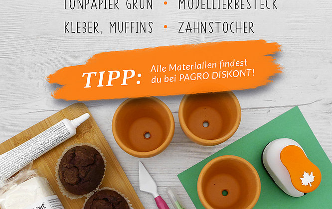 Karottenmuffins