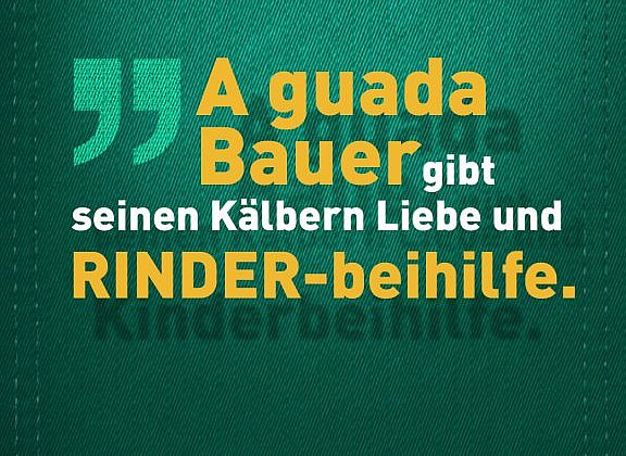 Lagerhaus Instagram Story - Bauernregeln