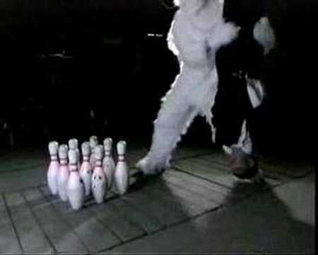 Easter Bunny goes Jackass - Christmas Attack