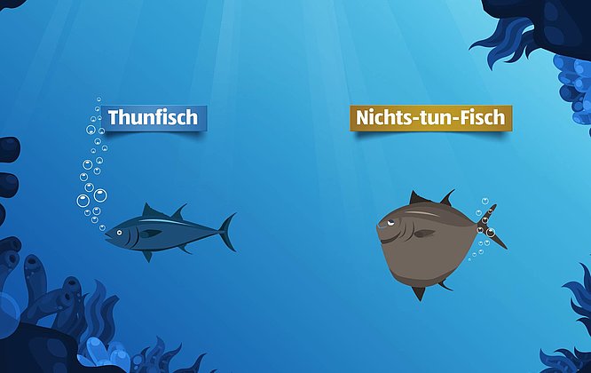 hofer thunfisch illustration
