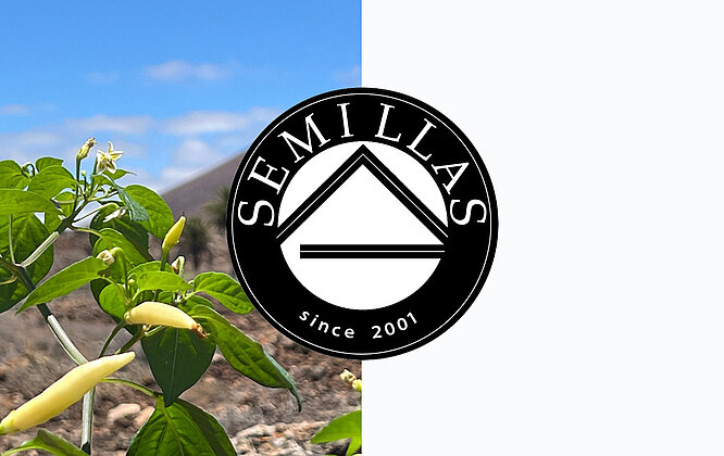 Referenzbild Webshop Semillas