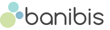 Schnittstelle Magento Banibis Banibis Logo