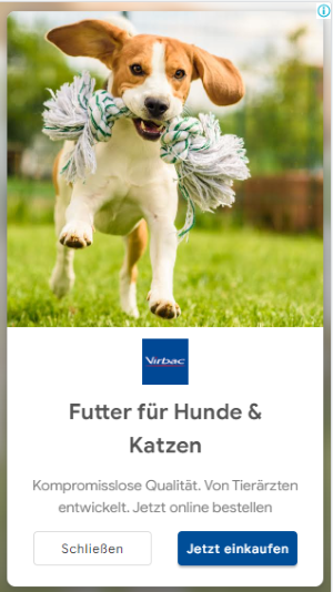 Display Ad Virbac