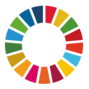 Sustainable Development Goals - Logo